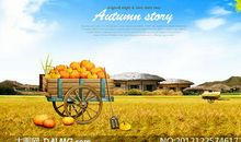 金秋的收获_900字