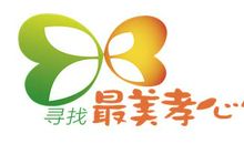 寻找最美孝心少年_450字