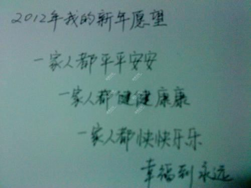 关于新年的作文：我的新年祝福_450字