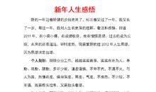 关于新年的作文：新年随想_800字