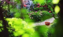 [2013暑期征文]亲近诗，用心灵去感受美_750字