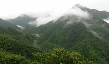 关于感恩的作文：感恩自然，拥抱自然_1200字