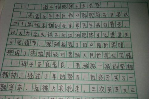 自制_400字