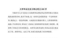 新年的第一天_600字