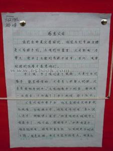 关于感激的作文：感受爱，对爱心感激_1500字