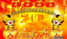 关于新年的作文：快乐童星，快乐新年_650字