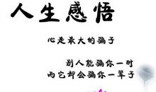 感悟人生_200字