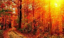 成长路上的阳光_1500字