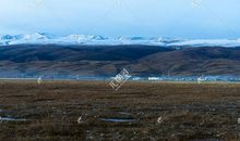观《走过雪山草地》有感_800字