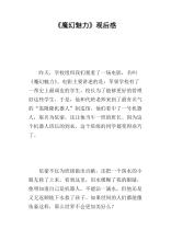 “魔术符”评论_500字