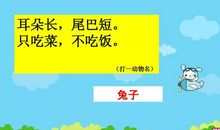 耳朵长，尾巴短。只吃菜，不吃饭（打一动物名）