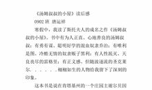 《汤姆叔叔的小屋》读后感_900字