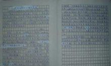 【微作文】世界末日_250字