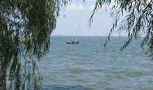 美丽的洞庭湖_300字