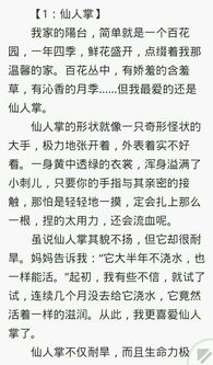 一张旧photo_300字