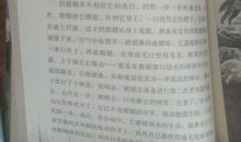 读《狼王梦》有感_750字