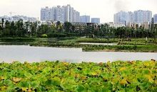 我的家乡美景_150字