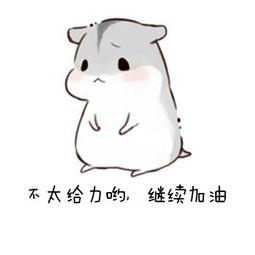 赞赏，太好了！