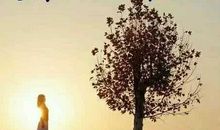 生活因平凡而精彩