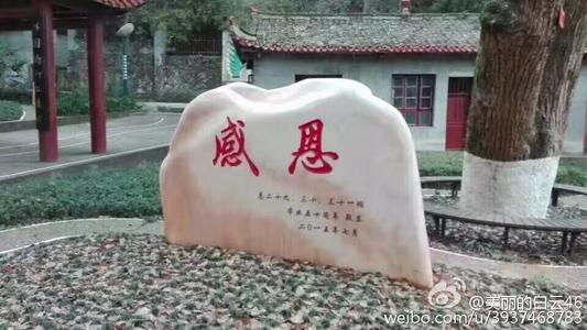 我最感激的人