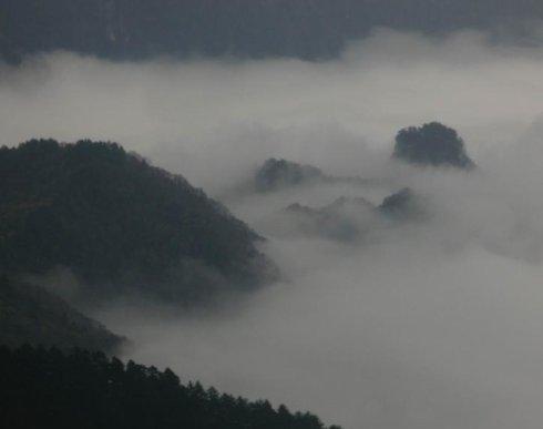 雨中的摇篮