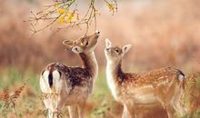 送你一个温情的秘密