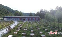 文化，历史的助跑器