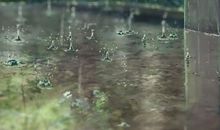 一滴慢慢坠落的雨点