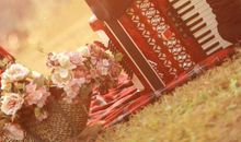 温暖的阳光，温馨的爱