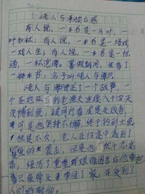 读《老人与海》后的感想