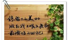 我最爱的一个人