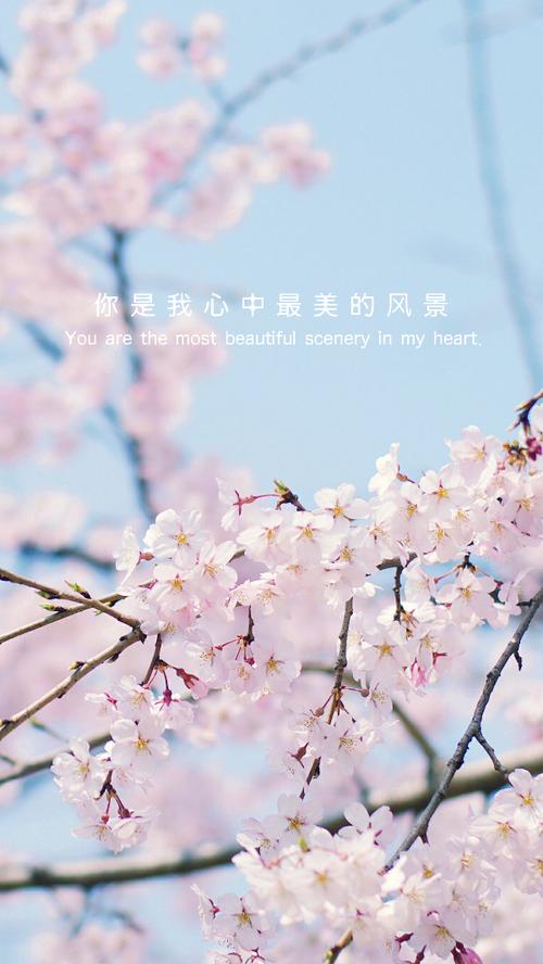 我心中最美丽的风景