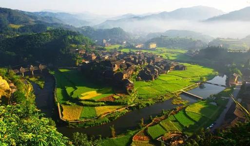 美丽的城市绿色家园