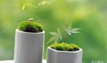 以个人修养来正视他人