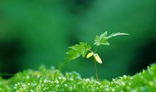 守护我们的精神家园