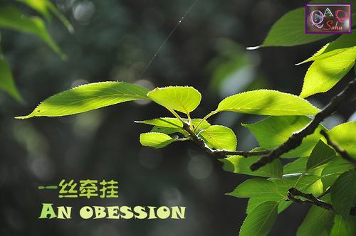 我内心的一点关心