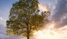 有一道风景叫坚强