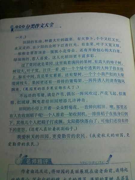 四年级写作作文：知道错误并纠正错误的妈妈_300个单词