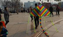 写放风筝的作文400字