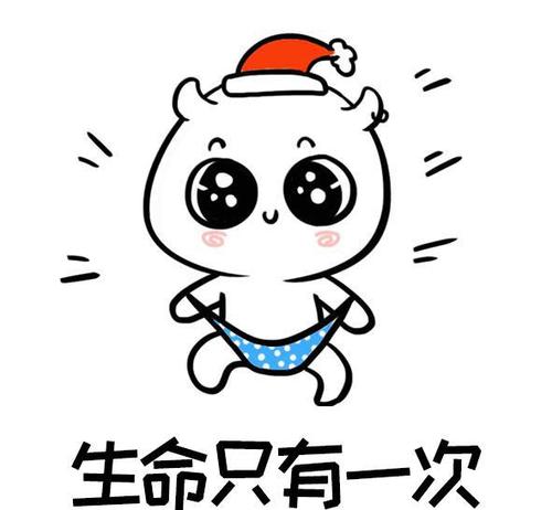 生命只属于我们一次