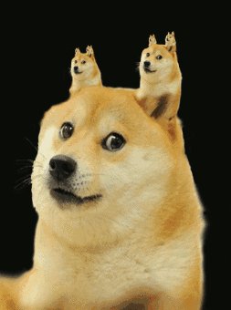 擅长玩！