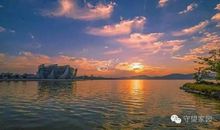 读懂文化的“真”