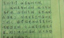 四年级写人作文：我最满意的好老师_650字