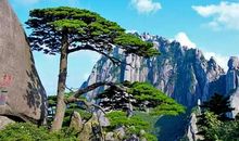 中华文化，令人骄傲