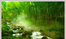 我想让人与自然和和谐