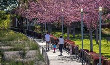 公园里的植物对话