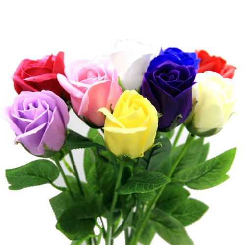 玫瑰花