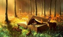 我爱你，美丽的家乡