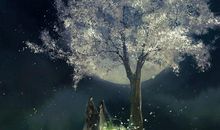 黛眉清浅，浮生望断