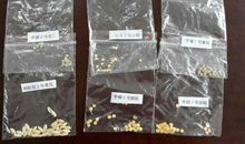 假如我有一颗太空种子